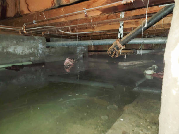 Best Flood restoration services  in Weleetka, OK